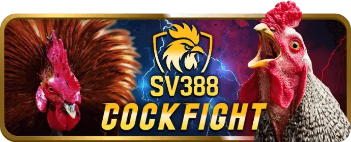 VIP Club Zbet88